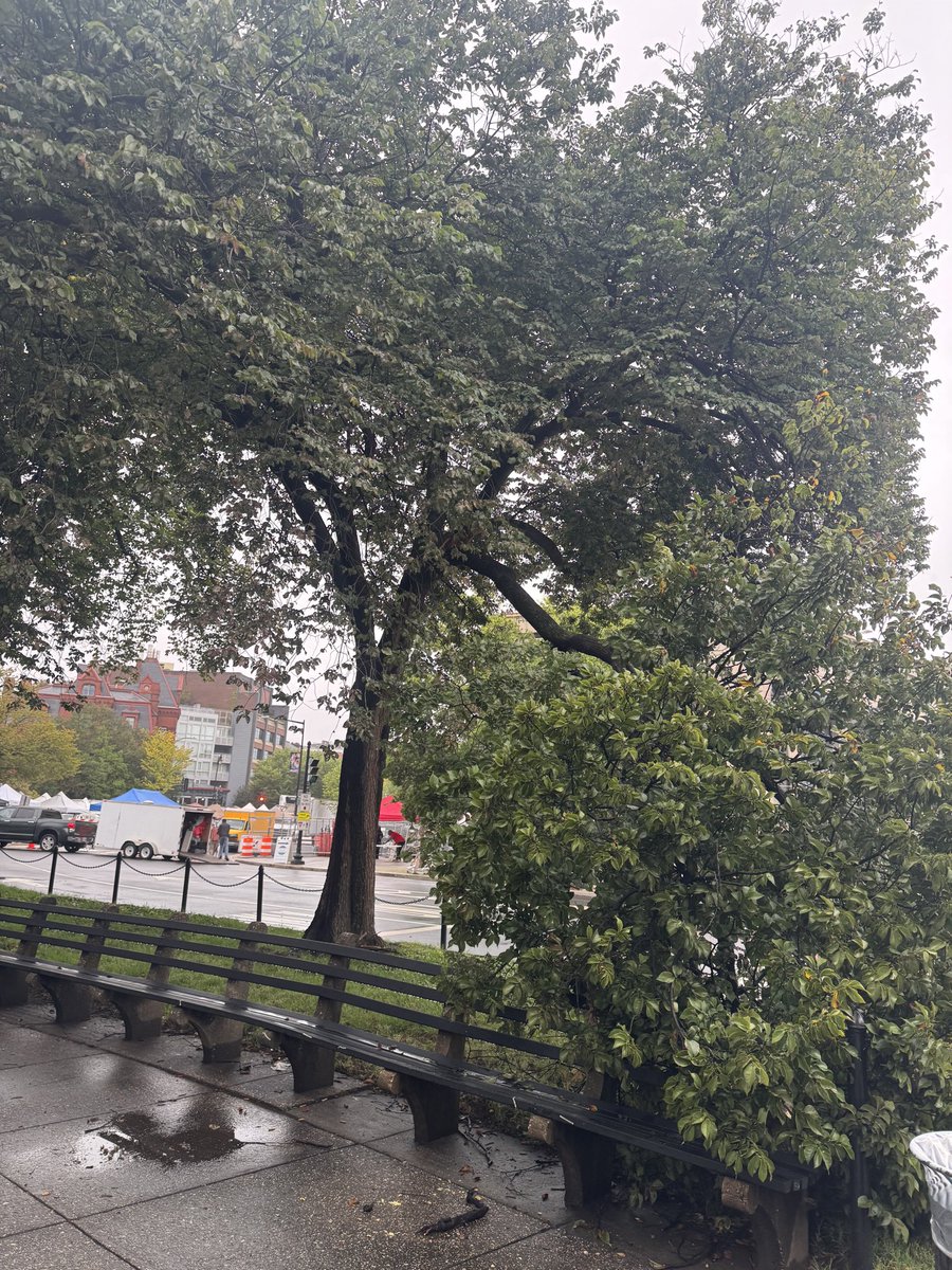 tpapres's tweet photo. Is this why they call it “Fall?” #Sundaymorningrun https://t.co/GYtLyrM3zm