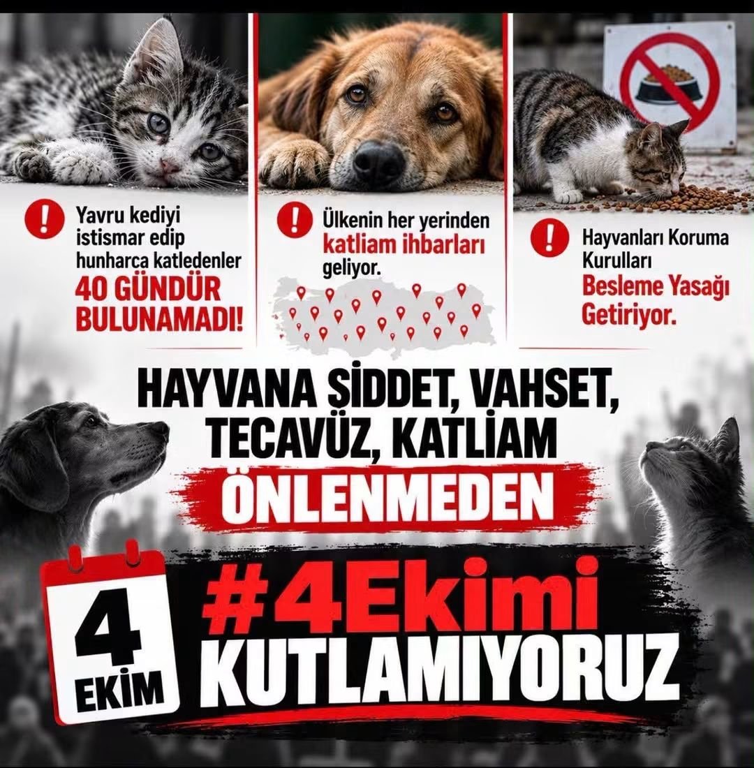 Ayfer96147708's tweet photo. Hayvana şiddet, vahşet, tecavüz katliam önlenmeden
#4EkimiKutlamıyoruz https://t.co/5chjiJmjHz