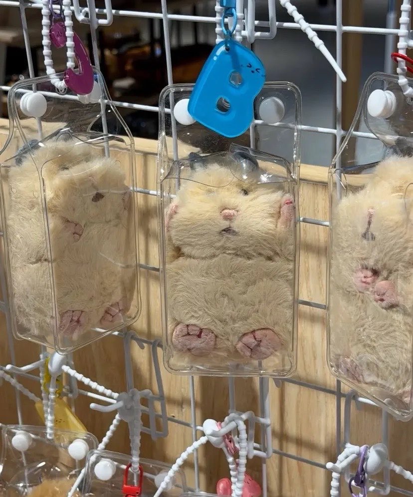 azaelovein's tweet photo. Nangis banget masa ada bagcharm hamster persis aslinya gini, mana packingnya kegencet gitu 😆😂 https://t.co/HDLTsvBvKH