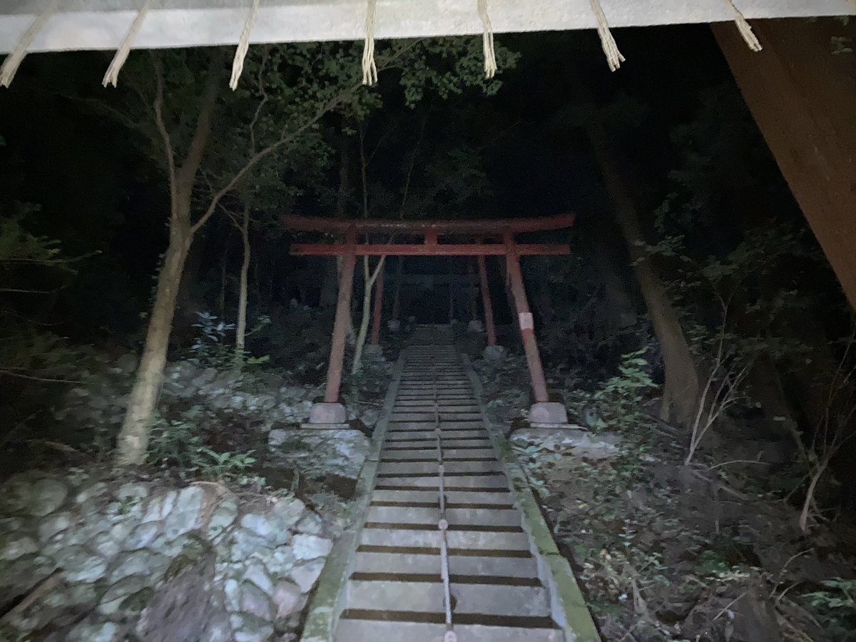 nobigon_ch183's tweet photo. 配信ありがとうございました。
過去トップに入りそうなくらい雰囲気ありました。階段が急すぎて鎖ついてるし廃墟化してる稲荷神社は中々危ないと聞いたことがある… https://t.co/RQJRLXqHXA