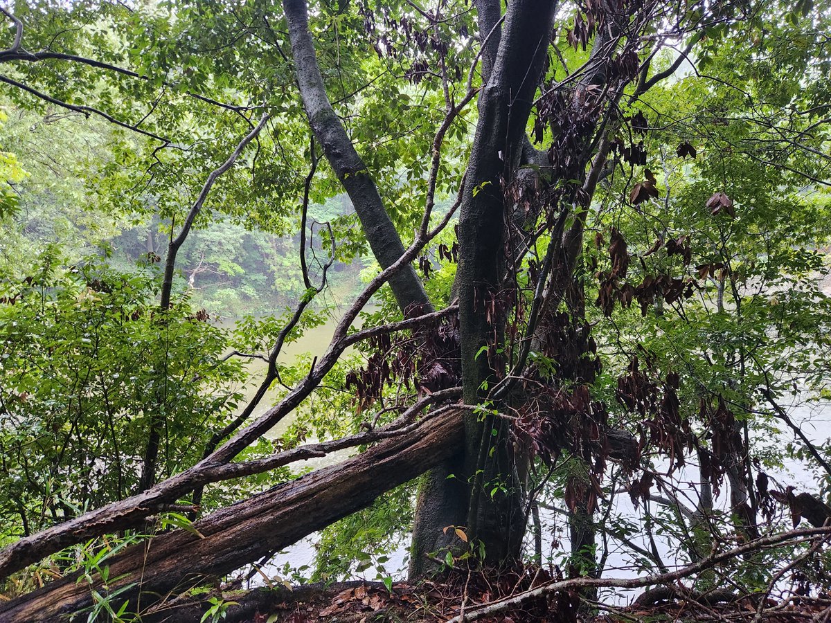 nobushigesanad2's tweet photo. こんばんは
午後に少し出かけて、山の麓の神社では一緒にお参りされていて、奥の池では来られている方々がいらっしゃいました https://t.co/mio0U7Stig