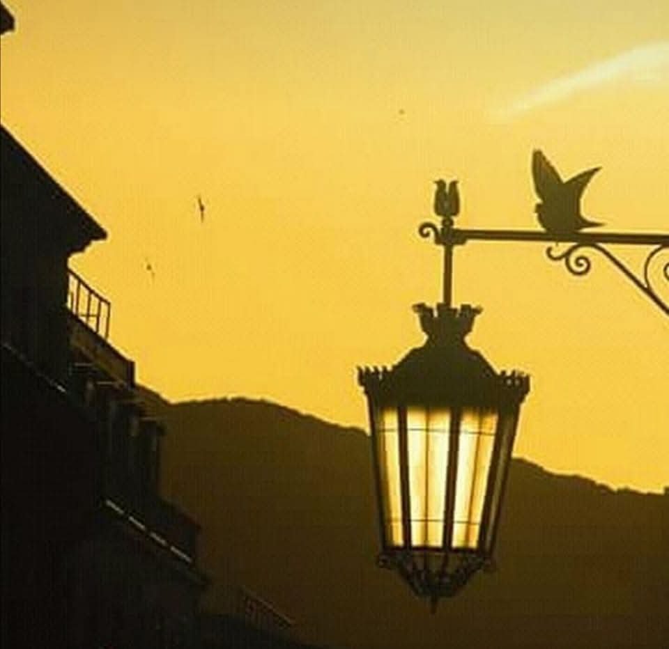 sirbarrilaro's tweet photo. #Chiado #Sunrise - #Lisboa 2018
{Rua Garrett}

@sirbarrilaro © 2018 #sirbarrilaro #BarrilaroRuas #ArtPhotography

{#CamaraMunicipalDeLisboa #CarlosMoedas #LargoDoChiado #LeonorBeleza #MaxRichter #YuliaMahr #PaulAuster #BrianEno} https://t.co/JZDHxHrhH1