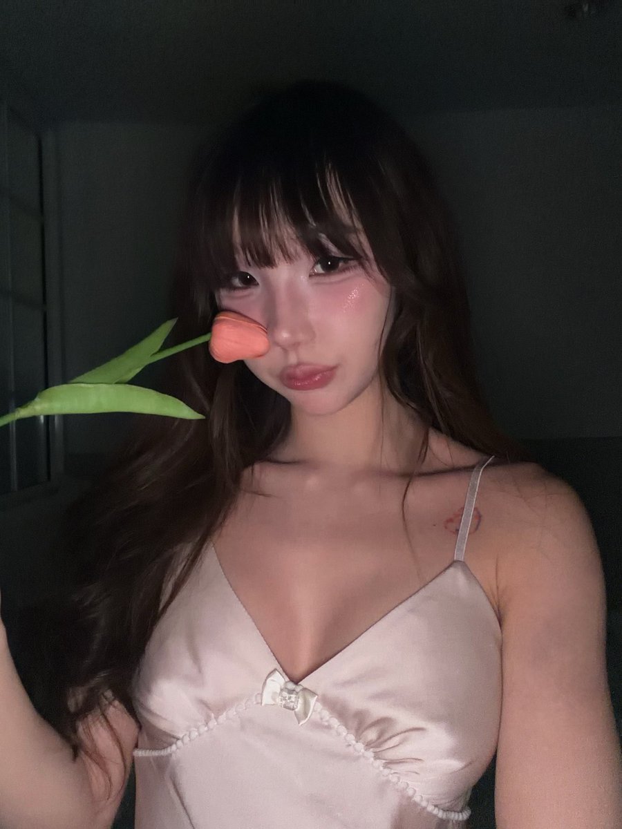 bell_nekopon's tweet photo. 🩷🌷 https://t.co/Z2yEnzltgp