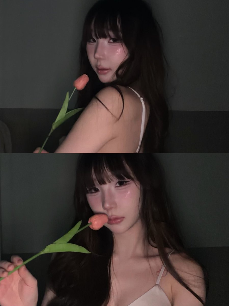 bell_nekopon's tweet photo. 🩷🌷 https://t.co/Z2yEnzltgp