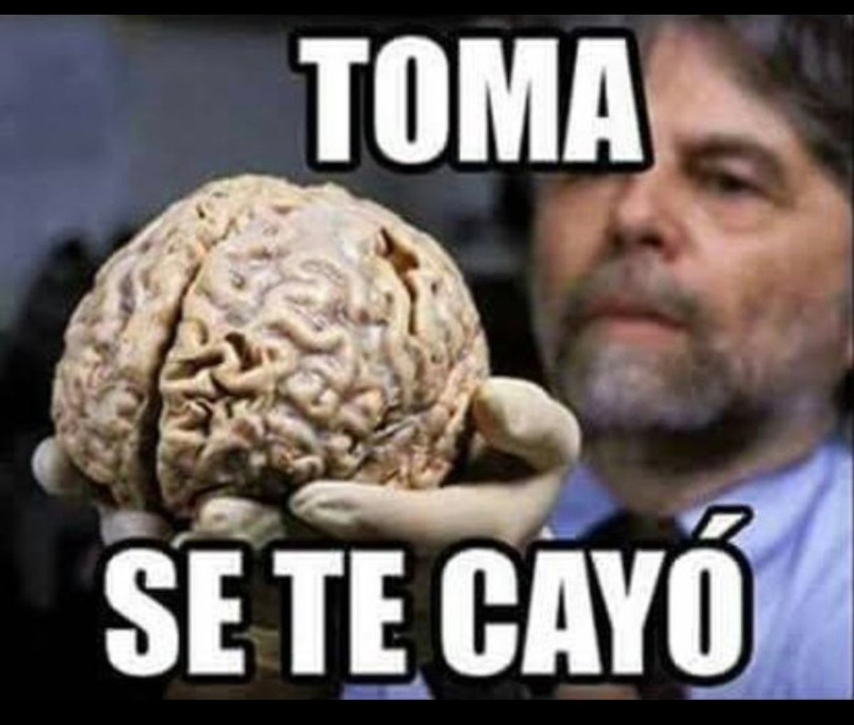 FUSILERO338's tweet photo. @lilialemoine Hablo la boluda...la.mascota ... https://t.co/3T3cIPHiZm