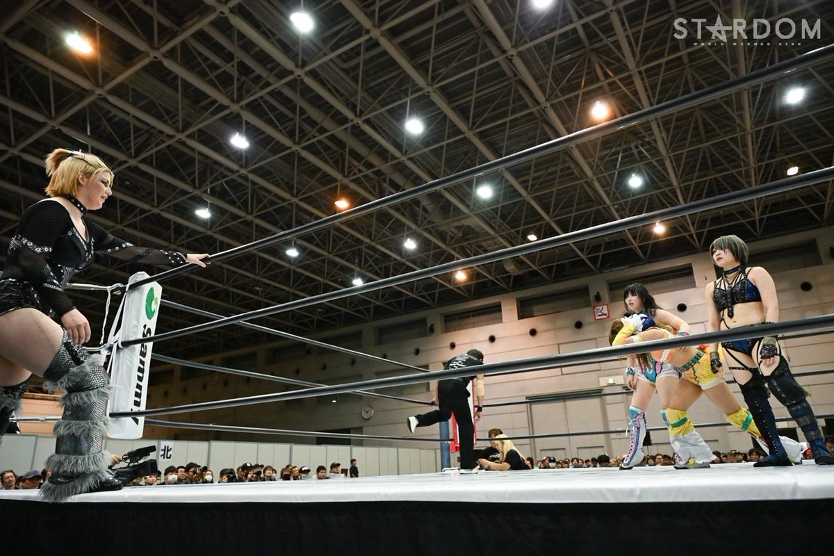 anou_saori's tweet photo. 下向いてないなら良い。
あんねの初勝利まで溜めて溜めて溜めまくれ

強い想いが胸に1つあれば何度でも立ち上がれるから

#STARDOM  #コズエン https://t.co/uKAz1HFVIA