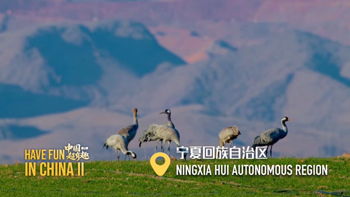 GjrbDaily's tweet photo. 2分钟，解锁藏在中国大地上人与动物共生的动人图景。《中国电视》邀您关注《中国超有趣》第2季（动物篇），一起看见中国生态之美，感受这片土地上蓬勃不息的生命力量。
https://t.co/E5P41mA69b https://t.co/JtTC9j79ch