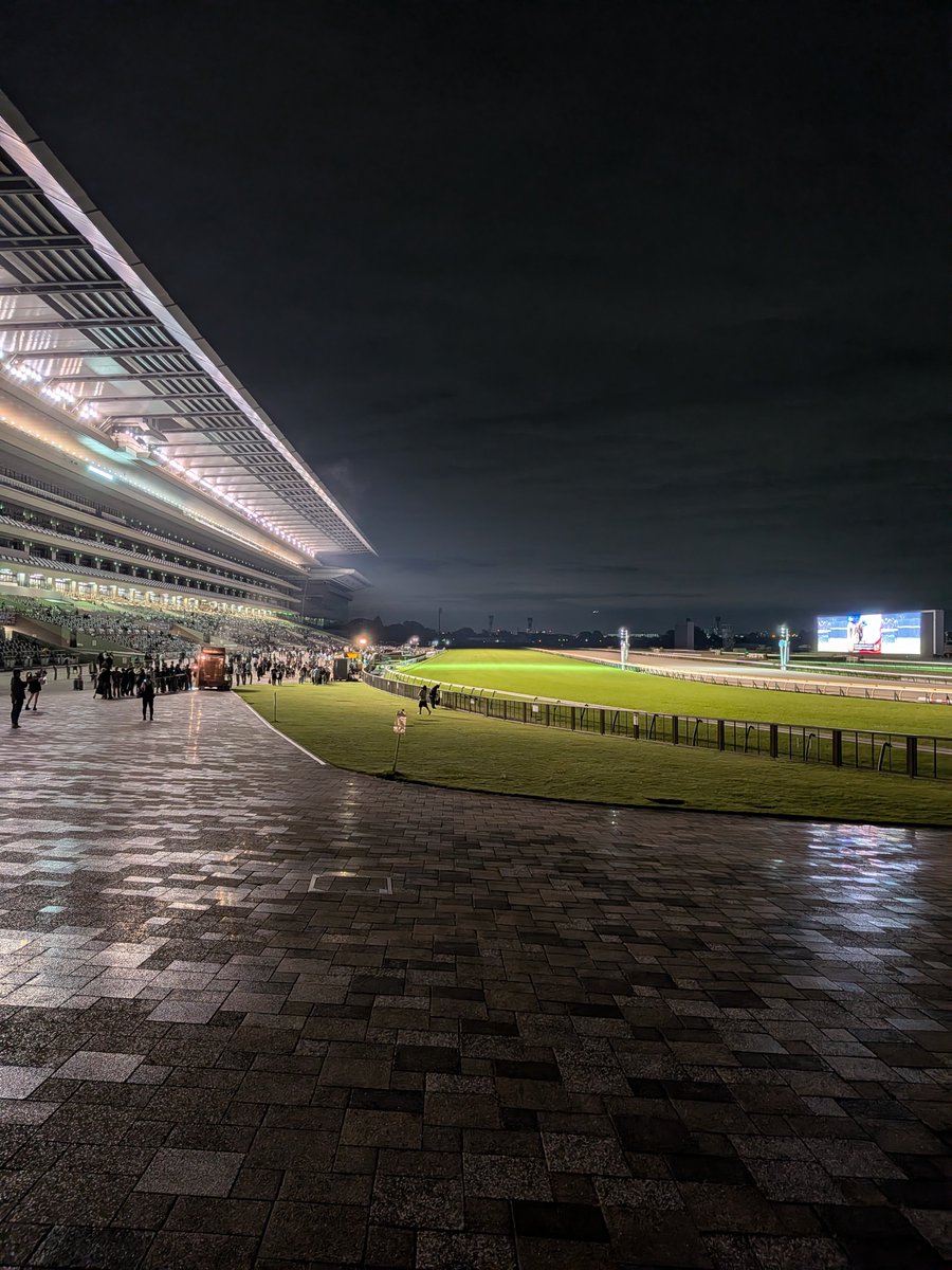 kakas_y2's tweet photo. 夜の東京競馬場モフ
思ったより人多い https://t.co/f74EN237sX