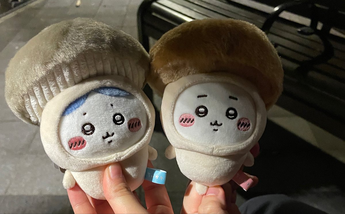 holangiii30's tweet photo. 버섯새키들 ㅈㄴ 웃기게샹김 https://t.co/DmWjRqIjgA
