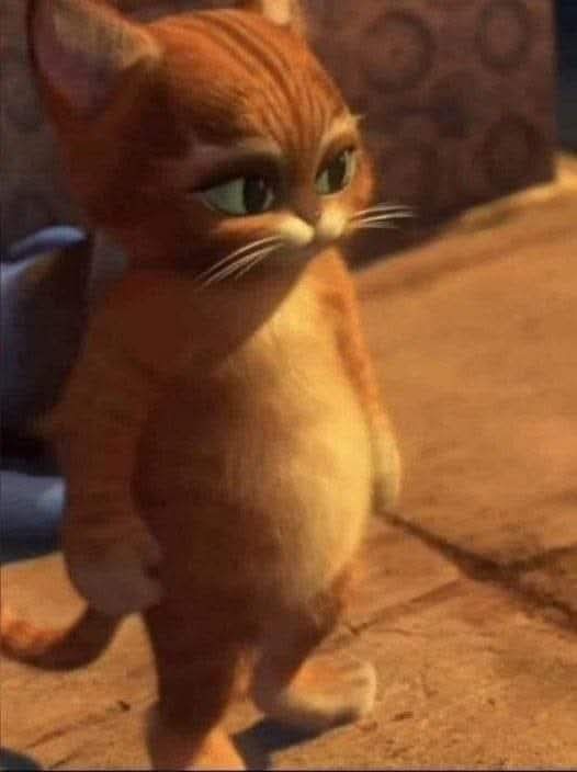 En_jupiter_'s tweet photo. Cuando tú novio te dice NO y te le quedás viendo hasta q tomé la decisión correcta https://t.co/cbbJUhqdmo