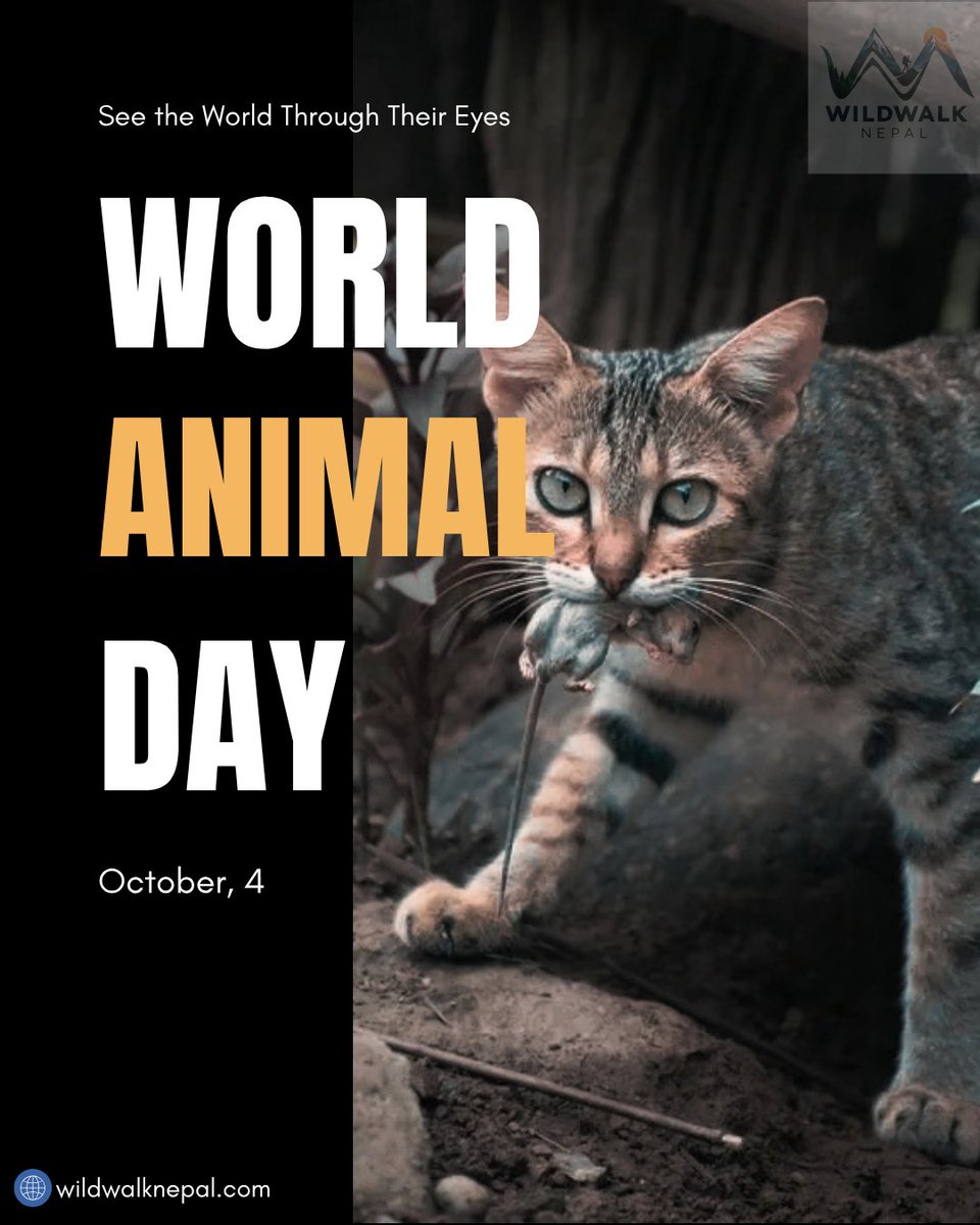 Wildwalknepal's tweet photo. World Animal Day 2026🐾

See the world through their eyes.

Animals are part of the world we share. Today, WildWalk Nepal stands for compassion, responsible interaction, and respect for every life.

See differently. Care deeply. Coexist responsibly.
#WorldAnimalDay #WildWalkNepal https://t.co/bADCZ4tjnP