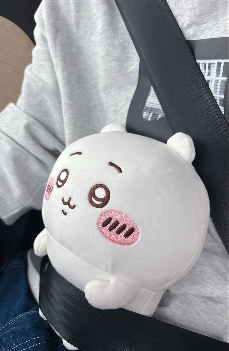 chiiihachi32's tweet photo. 安全運転でおねがいしまーす🚗 https://t.co/NG3duCjiOT