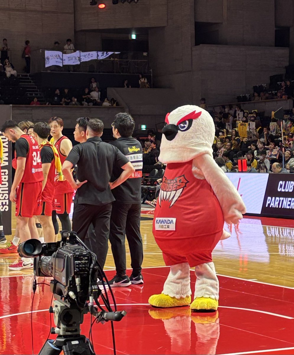 ywCxwnXEydgtw1d's tweet photo. もちろん試合🏀が大前提ではあるけれども、🏀観戦（グラウジーズ🐔）の魅力の一つに、チア（GOW）とマスコット（グラッキー）の存在って大きかったんだな〜と、実感した二日間でした🙄
注釈：どちらも昨シーズン並みに出番を増やしてほしいです🙏 https://t.co/PJY0LfVgBR
