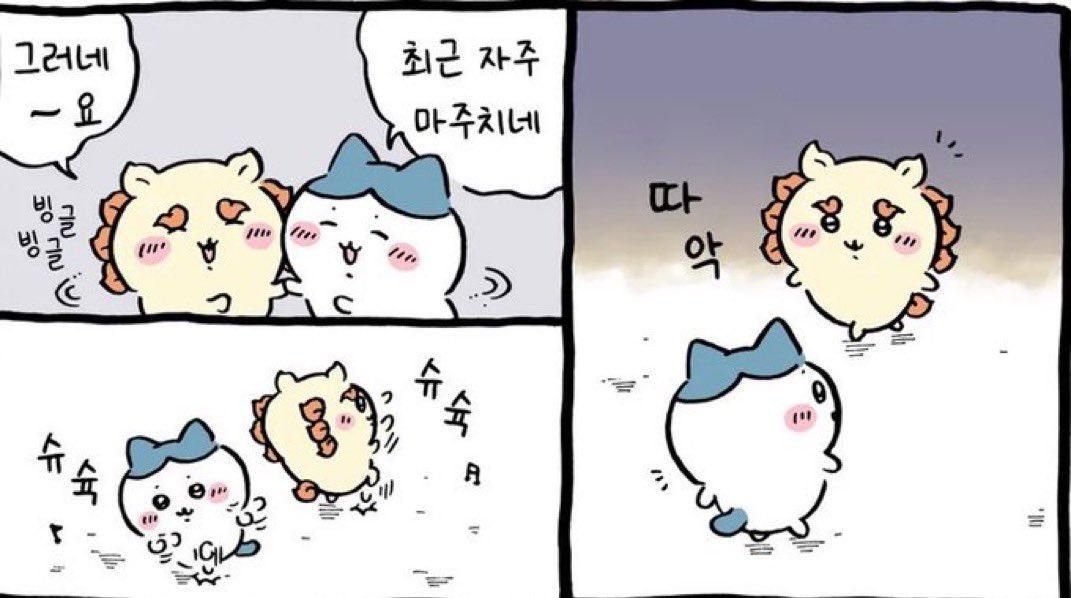 holangiii30's tweet photo. 하치와레 최애 원툴이었는데 시사 너무 귀여움… 앙앙앙 https://t.co/CV2GPrzRuC