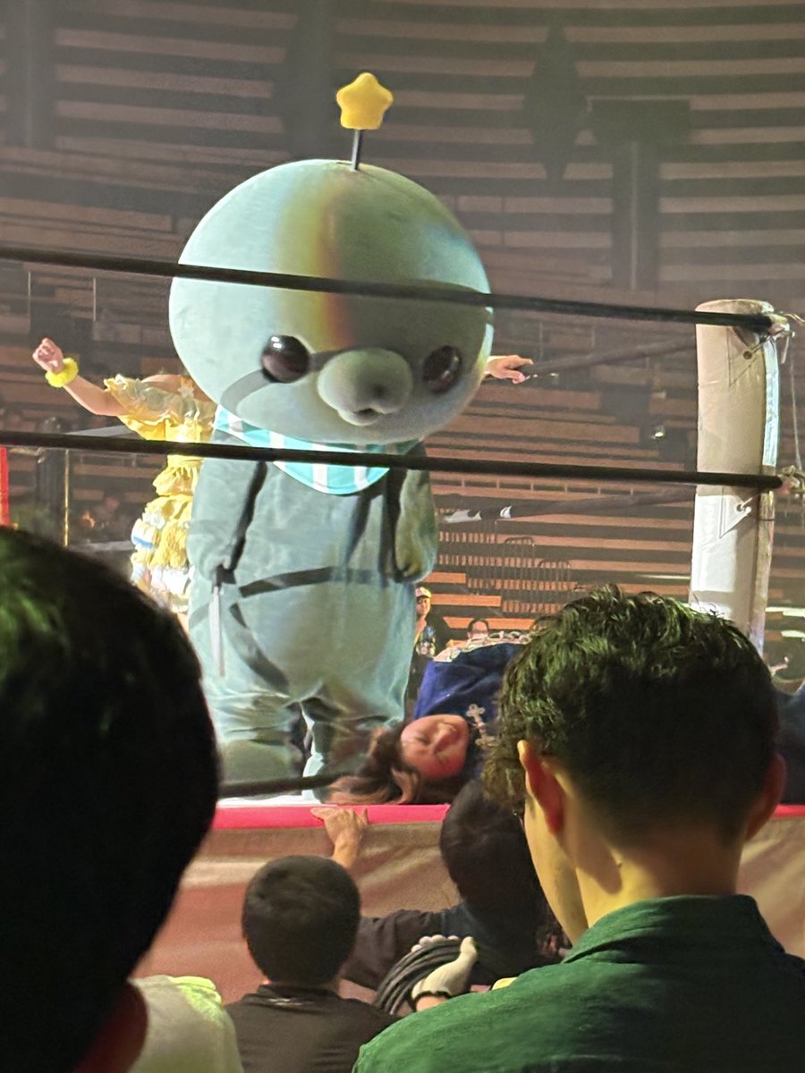 kusurugasys's tweet photo. 東京女子プロレス #tjpwWP7 観戦してきました！
デビュー戦ありタイトルマッ��ありの全10試合とボリューム多かったけどそれぞれ見所があって面白かった！😆
タマの試合も観れてよかった！
チエリさんデビューおめでとうございます！🎉
㊗️春烈プリードベルト戴冠おめでとう❗️
#tjpw https://t.co/rMAeXEY3WH