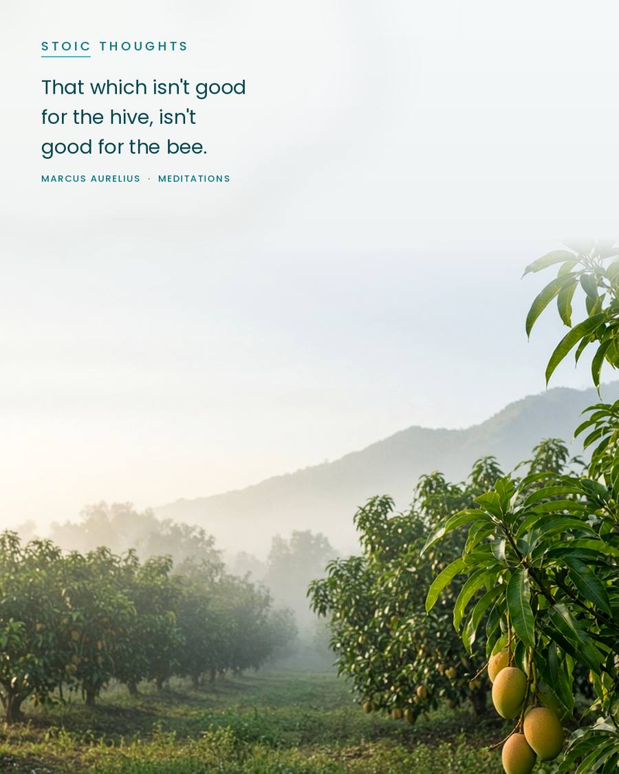 CEOScottFord's tweet photo. Marcus Aurelius wrote that what isn't good for the hive isn't good for the bee. Before you push the next decision, ask whether it makes the whole team stronger or just helps you.
#SpreadingPositivity #AlohaSpirit #Stoic #Community https://t.co/qXOiLMPAF0