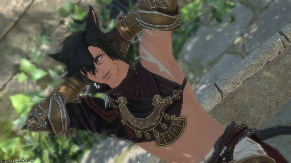ThePostMiqote's tweet photo. Its been a hot second 
#ffxiv #gposer https://t.co/wLrWjP0cNl