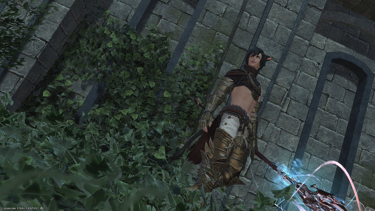 ThePostMiqote's tweet photo. Its been a hot second 
#ffxiv #gposer https://t.co/wLrWjP0cNl