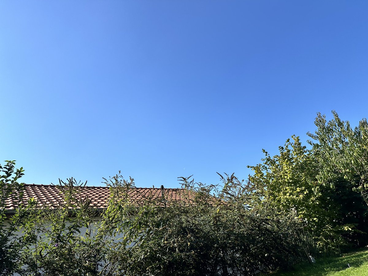 av8andco's tweet photo. 14u28 Wezemaal #vrtweer https://t.co/iSZ6d8QT1B