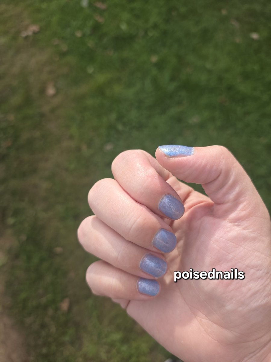 poisednails1's tweet photo. Fresh nail day #nails #content #throne https://t.co/bfp6RxWK6U