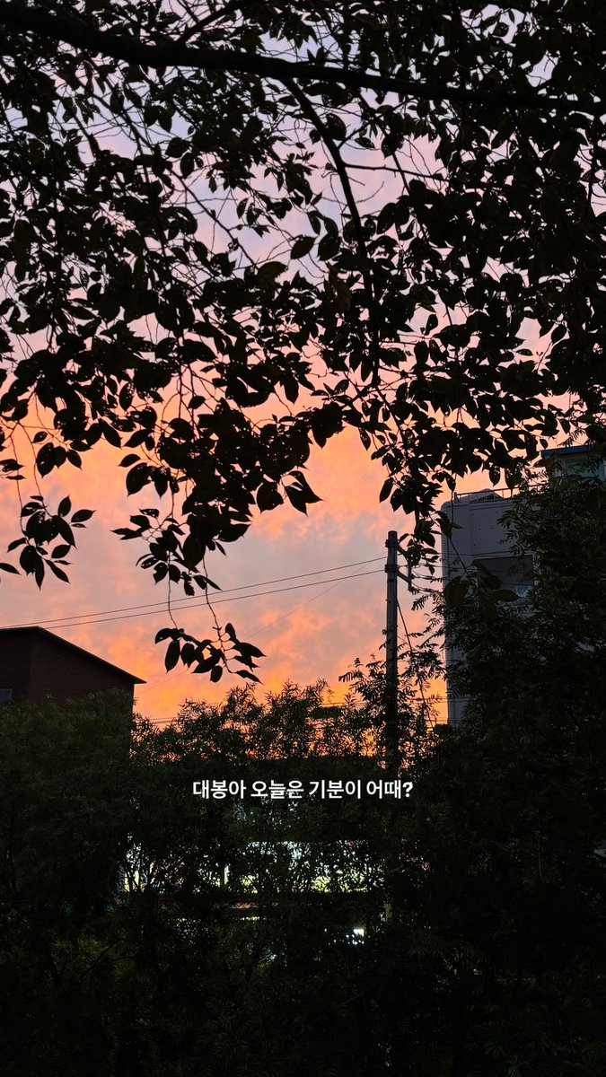 sungmin_acv's tweet photo. 261004
#캣_스토리 https://t.co/mEXkGW56lz