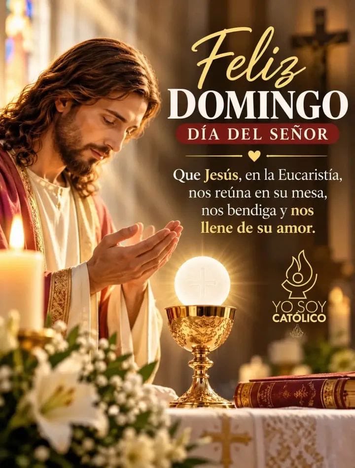 jalisco52's tweet photo. Señor que este día nos encuentre cerca de Tí,  agradecidos por el don de la vida y de la fe.
Que en la Eucaristía encontremos la fuerza para seguir, la paz para nuestro corazón y el amor para compartir, quédate con nosotros, bendice a nuestras familias. Amén. https://t.co/3rQGTneZF2