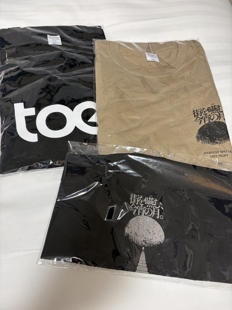 NumTheKagtus's tweet photo. あいにくの雨模様でしたが2018年ぶりのtoe、素晴らしかったです、、およそ2時間あっという間でした(◜ᴗ◝ )

#toe https://t.co/egovWiNuaj