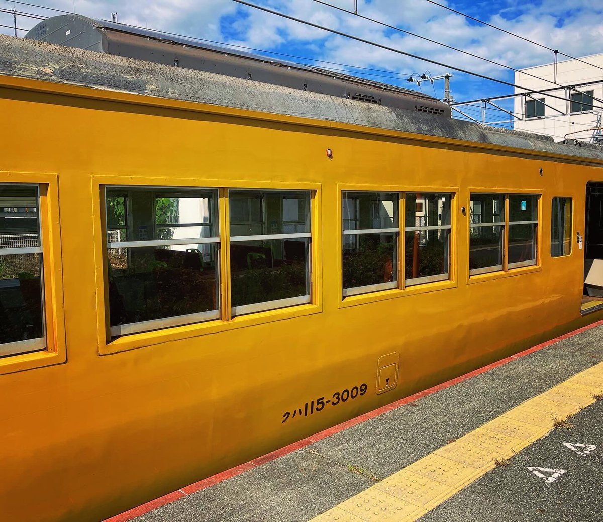 KPP_JL061's tweet photo. #山陽線 #山陽線の車窓晩秋編
>> #115系3000番台
・中国地区、国鉄車両の宝庫
∟ 車両更新が進む🤔
#ローカル線の旅
#kpp
#115系
#クロス転換シート
#キハ40系気動車 https://t.co/JfyOojSRwe