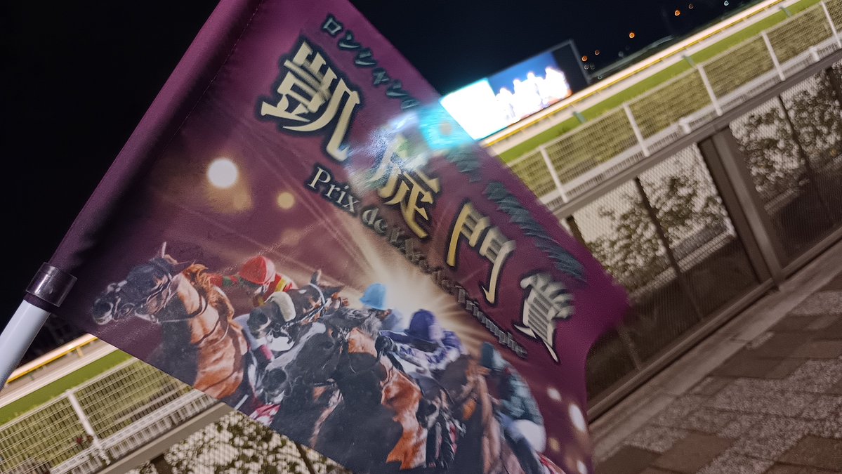 kochineta's tweet photo. 夜の競馬場
頑張れアドマイヤテラ、メイショウタバル https://t.co/ynnfTdJRUa