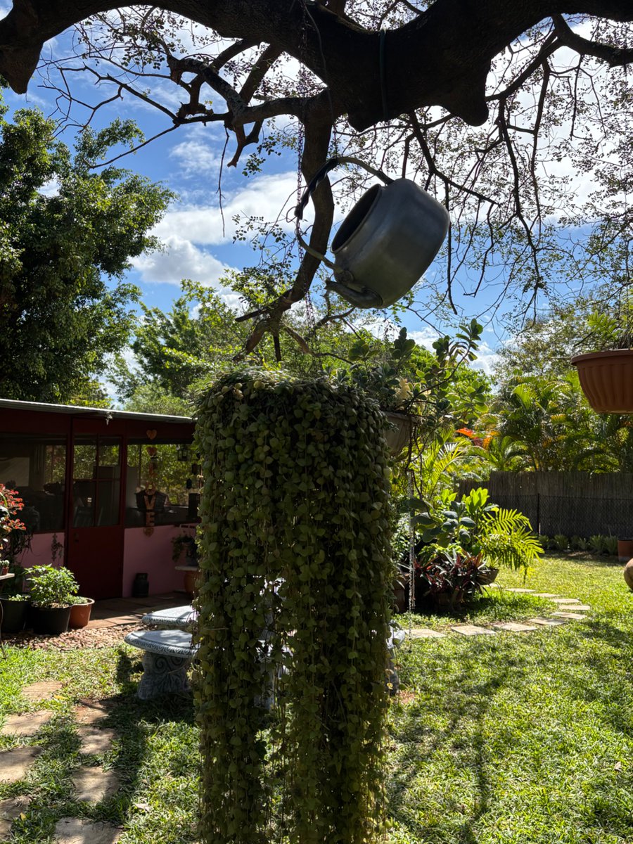 AlMuzambiqi's tweet photo. If we’re astonished by beautiful gardens … then what about jannah ??

Then let’s live upon Tawheed and die upon Tawheed in order to reach it by the Mercy of Allah https://t.co/AZTWySlpre