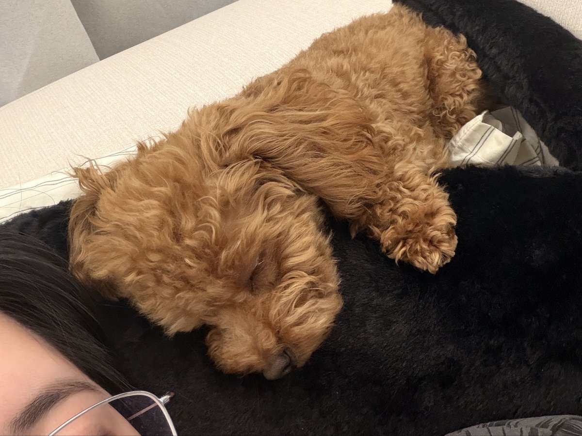 Migminmigm's tweet photo. 개미금 언니 사랑하네 ㅋ https://t.co/8GDZ9aF5HU