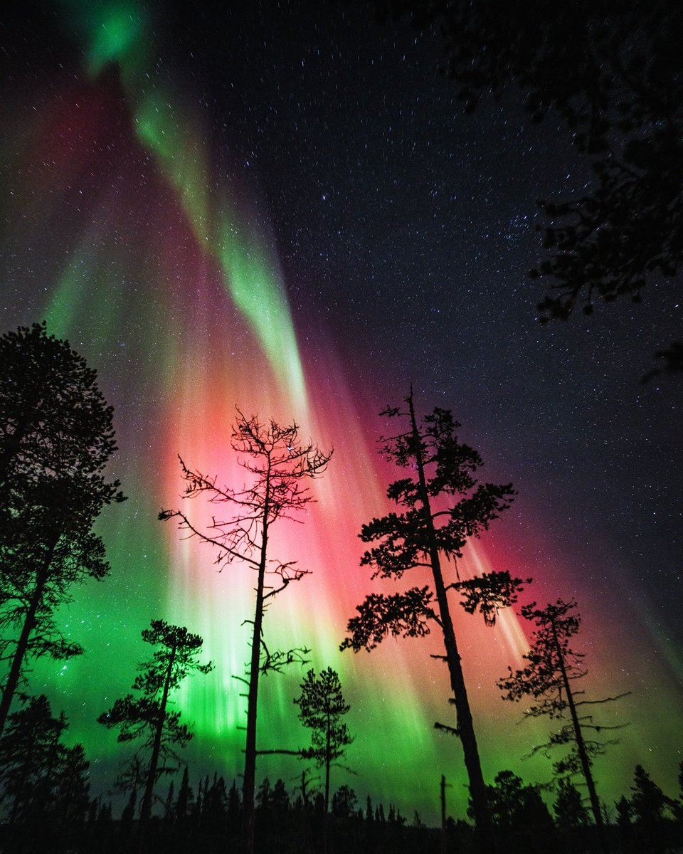 __Earthpictures's tweet photo. https://t.co/QHfPx9swxR
