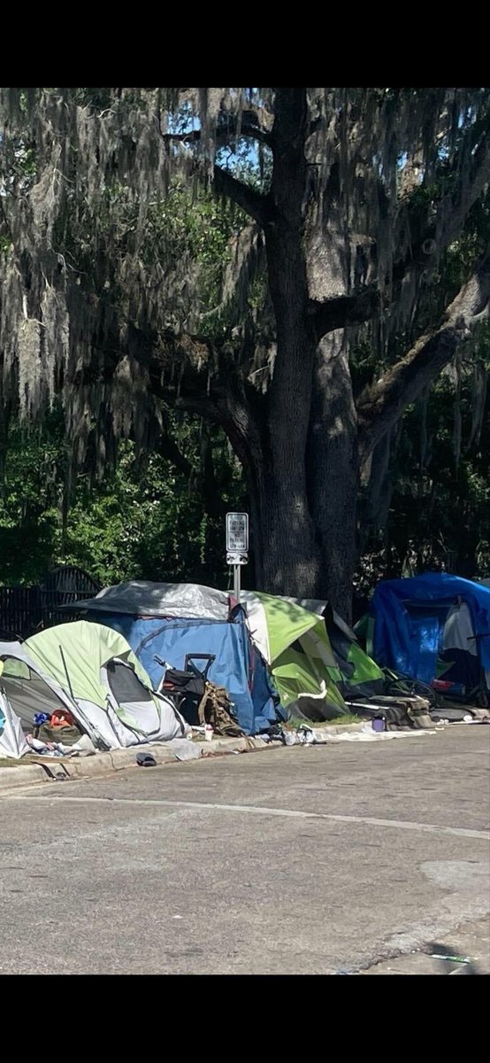 ZouTangClan's tweet photo. @GatorScope @Mizzodcast I hear Gainesville is beautiful this time of year….. https://t.co/TB5ZSRpXt3