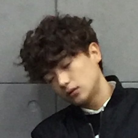nowl0ver's tweet photo. 곱슬 햄스터 https://t.co/XdZDxReM1S