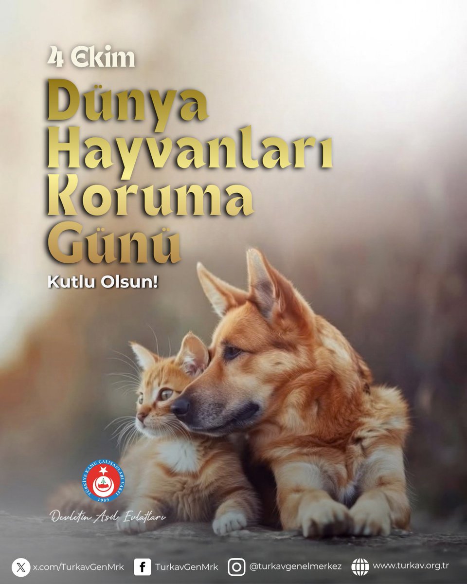 TurkavGenMrk tweet picture