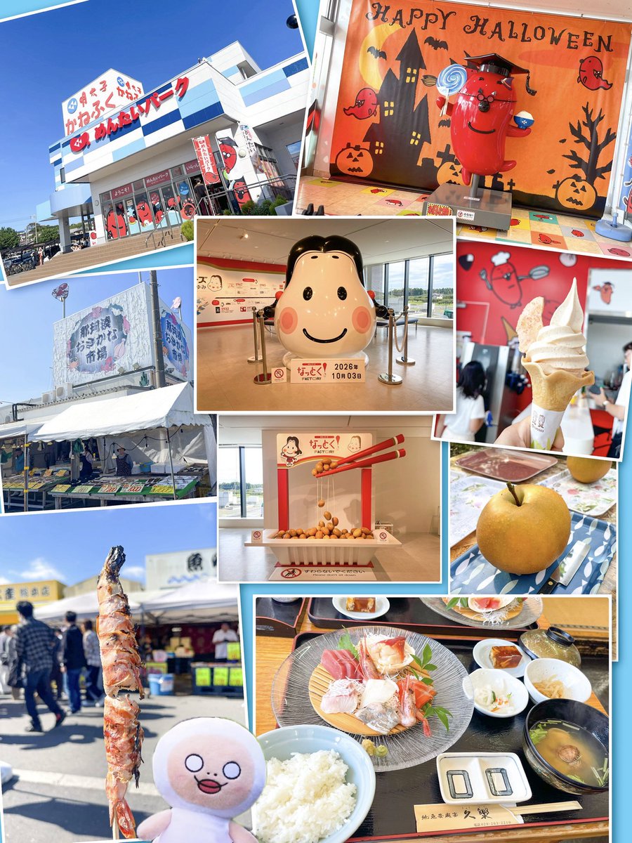 shiromeofficial's tweet photo. 福祉旅行で茨城県へ🚌💨

���タカノフーズ納豆工場なっとくファクトリーミュージアム」
「那珂湊おさかな市場」
「かねふくめんたいパーク大洗」
「チヨダ園芸」で梨狩り
と、茨城県を満喫してきました〜♪

https://t.co/AchtIWoOPP

#しろめちゃんぬいどり
#わりこみしろめちゃん https://t.co/oaJFV4frZx