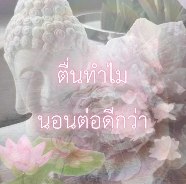 sundaeloner's tweet photo. กุทุกเช้าวันหยุด https://t.co/Dc7Io9faOg