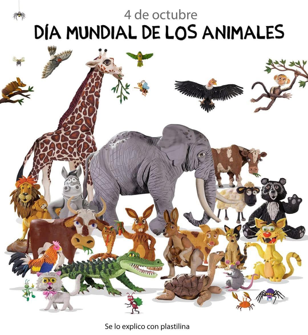 altereddie's tweet photo. 4 de octubre, día mundial de los animales. https://t.co/A3qshmwvcq
