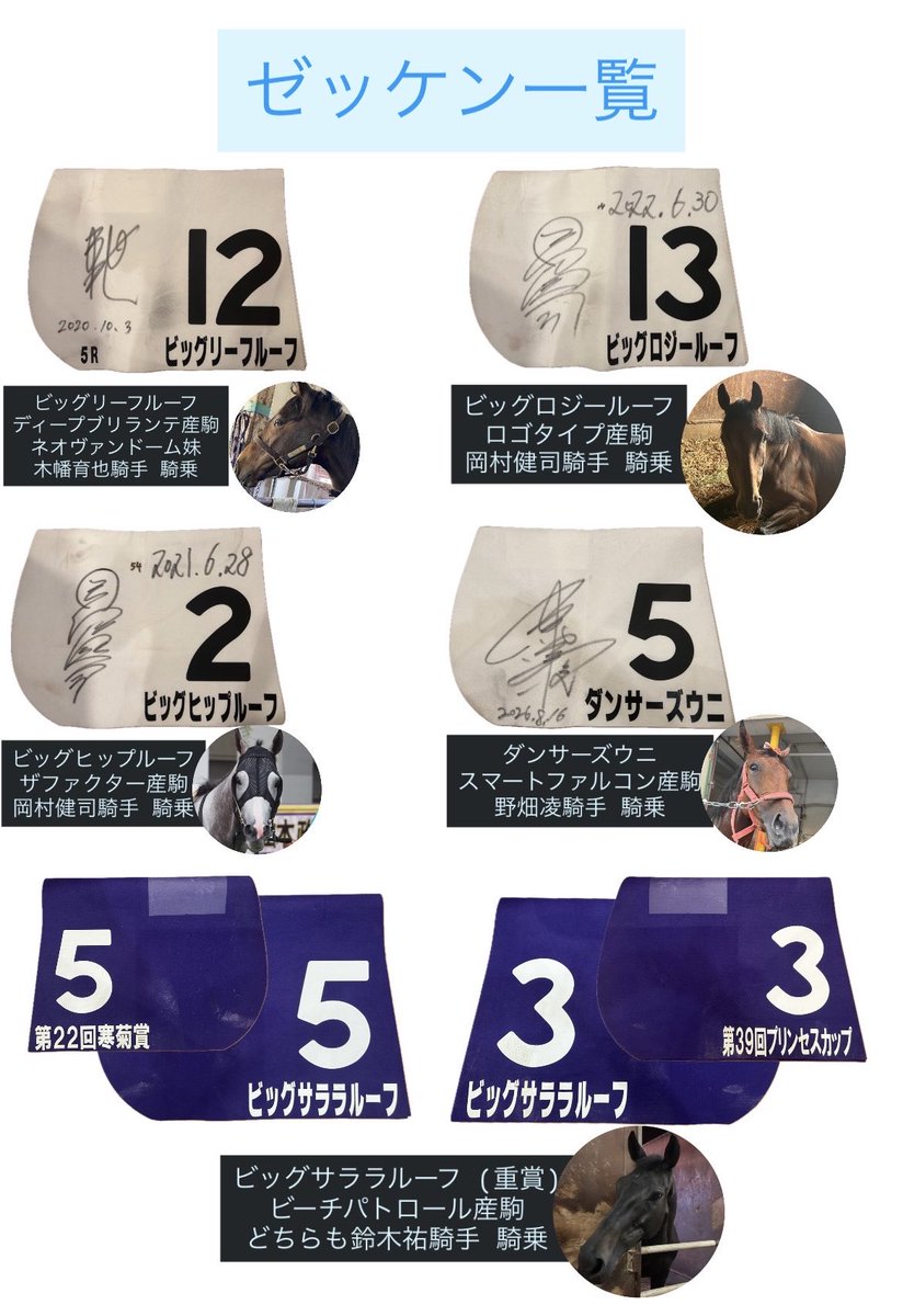 bigroof_racing's tweet photo. 【✨️突発プレゼント企画✨】

所有馬のゼッケンを抽選で合計6名様にプレゼントします🎁

 《応募方法》
① @bigroof_racing をフォロー 
②本投稿に希望馬名をリプライ(コメント)

〆切は2026年10月7日23:59
※当選者にはDMでご連絡致します。

注意事項など、詳細は画像をご確認ください✨️ https://t.co/8720bw5RXJ