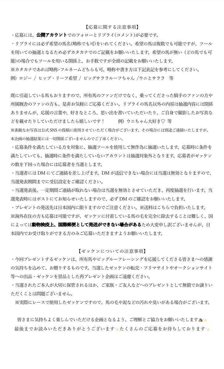 bigroof_racing's tweet photo. 【✨️突発プレゼント企画✨】

所有馬のゼッケンを抽選で合計6名様にプレゼントします🎁

 《応募方法》
① @bigroof_racing をフォロー 
②本投稿に希望馬名をリプライ(コメント)

〆切は2026年10月7日23:59
※当選者にはDMでご連絡致します。

注意事項など、詳細は画像をご確認ください✨️ https://t.co/8720bw5RXJ