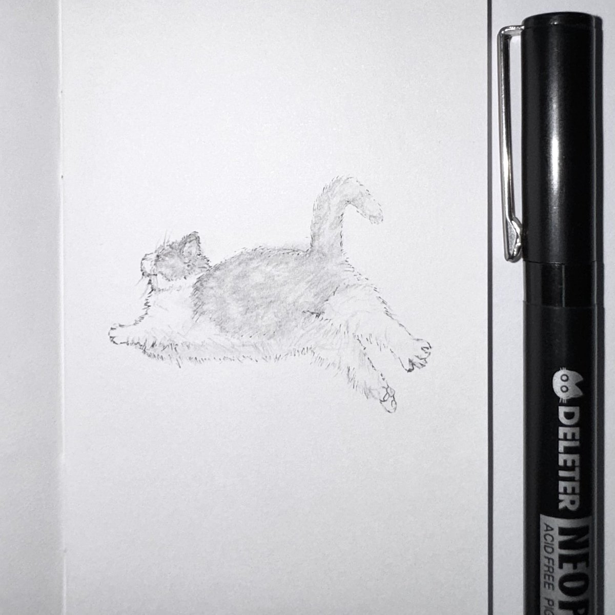 maogatocatneko's tweet photo. γ€γ³γ―γγΌγγΌ Day4π±
#inktober
#catart #catdrawing
#munchkincatober https://t.co/dBQEDRpyU1
