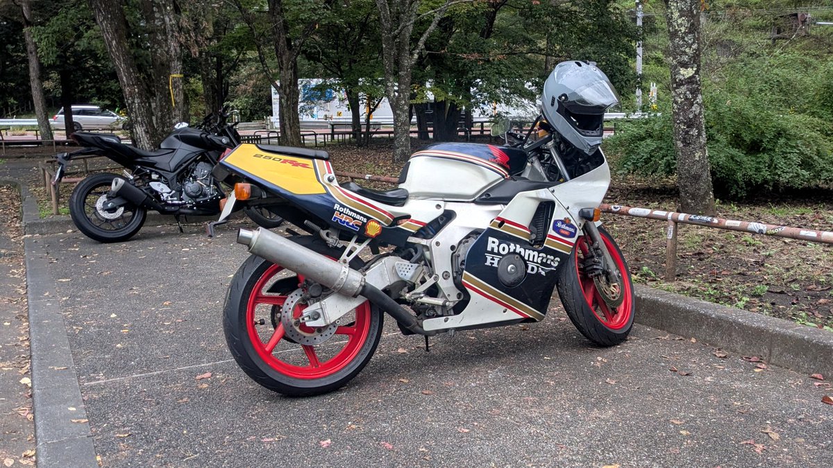 sigoned's tweet photo. 1ヶ月ぶりに動かそうとしたらウィンカーの接触悪いわ燃料コックは固着しかけてるわで何とか叩き起こしに成功
マジで湿気はクソ
#CBR250RR https://t.co/AG9T2oKFr8