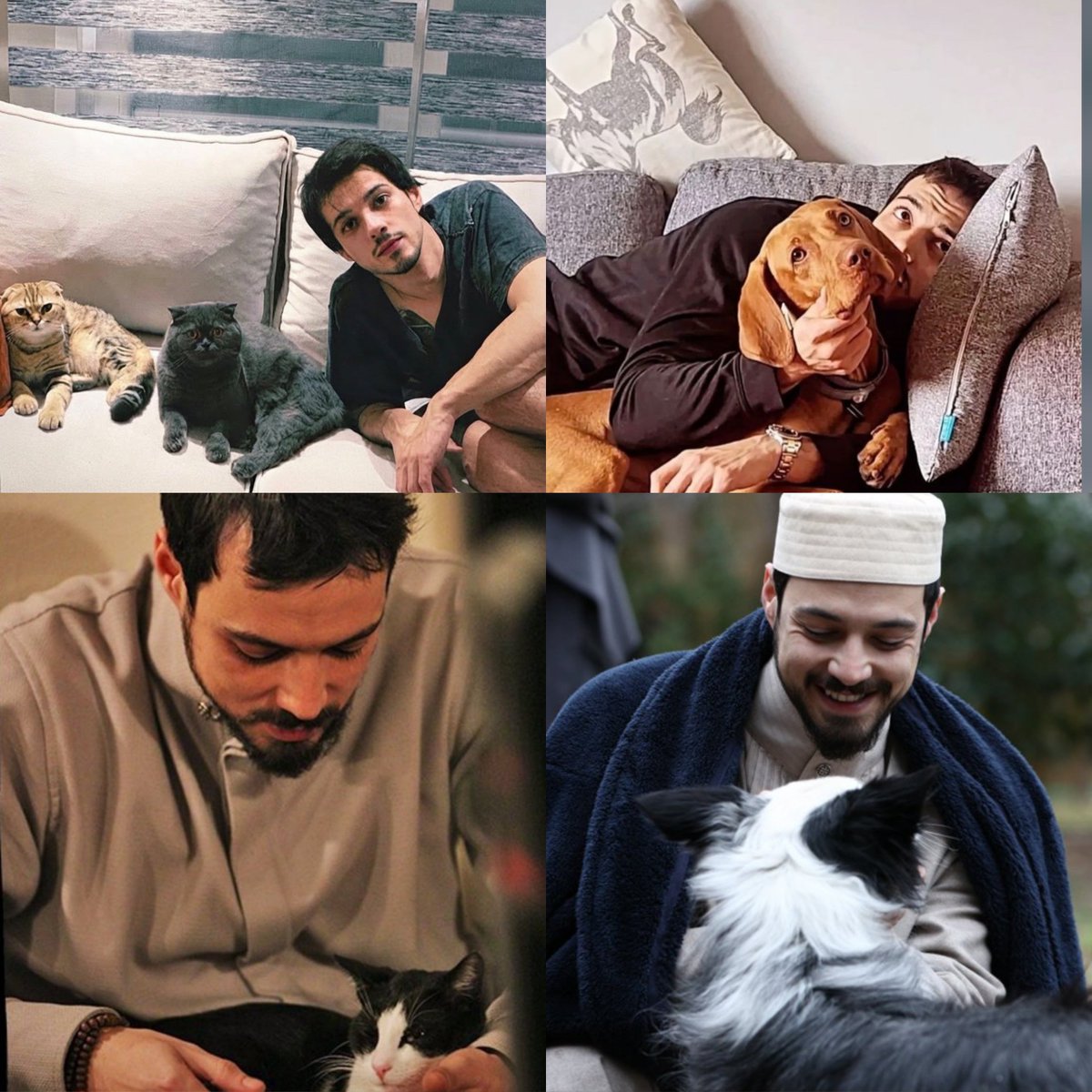 t_kalbi's tweet photo. #MertYazıcıoğlu 🐶🐱 https://t.co/twX9KE622D