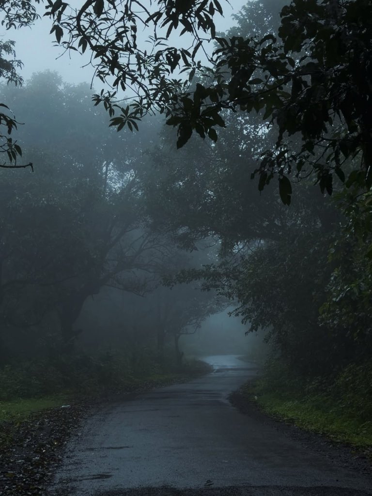 gloomyvisuaIs's tweet photo. favorite weather. https://t.co/DH8DDRr2nu