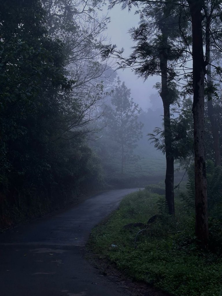 gloomyvisuaIs's tweet photo. favorite weather. https://t.co/DH8DDRr2nu