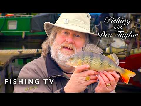 lovecanalsuk's tweet photo. Drop Shotting For Perch | Fishing with Des Taylor
Des Taylor shows that he's keeping up with all the trendy techniques by drop shotting for perch in his local marina. #DesTaylor #UKFishing #PerchFishing #PikeFishing #GraylingFishing #CoarseFishing…
https://t.co/H2SAxPTc4d https://t.co/zbCpZEc4nZ