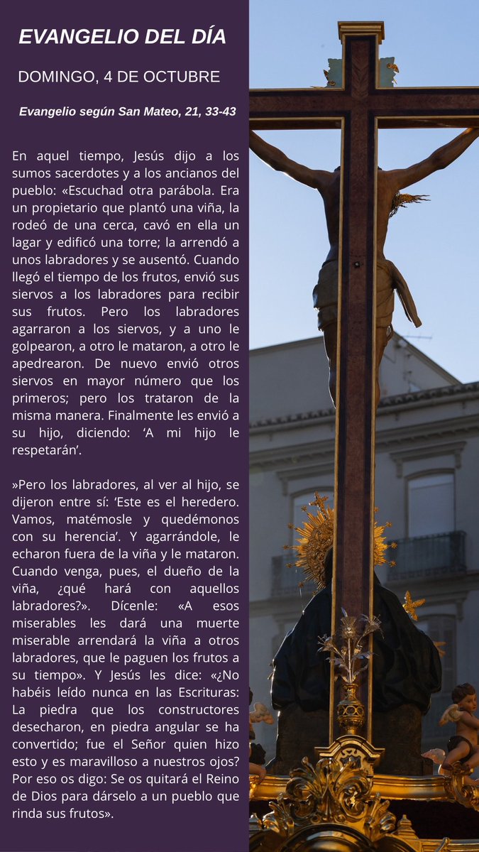 AmoryCaridad's tweet photo. ✝️ EVANGELIO DEL DÍA

¡Feliz domingo! ❤️‍🔥

#CofradíasMLG https://t.co/RugqkObKhY
