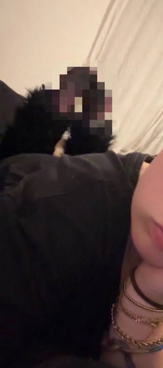 bratwoozi's tweet photo. my soles stink btw

findom paypig geldvarken tikkieslaaf findomNL https://t.co/dLMOM8kF9V