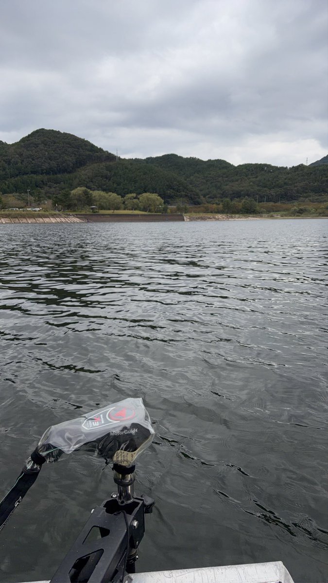 ko3756s's tweet photo. 最近サイズ選べない釣りしか釣れなかったから、今日は子バスを避ける手段としてあれこれ試みたら最初に39㎝
これいけるか...🤔
続けると41㎝39㎝と連発

正解じゃね？

ってその後も移動しながら釣り回って見事35㎝以下回避

今日は寒さに凍える1日でした🥶

#バス釣り
#スモールマウスバス
#防寒必需 https://t.co/znkAvNKKkM