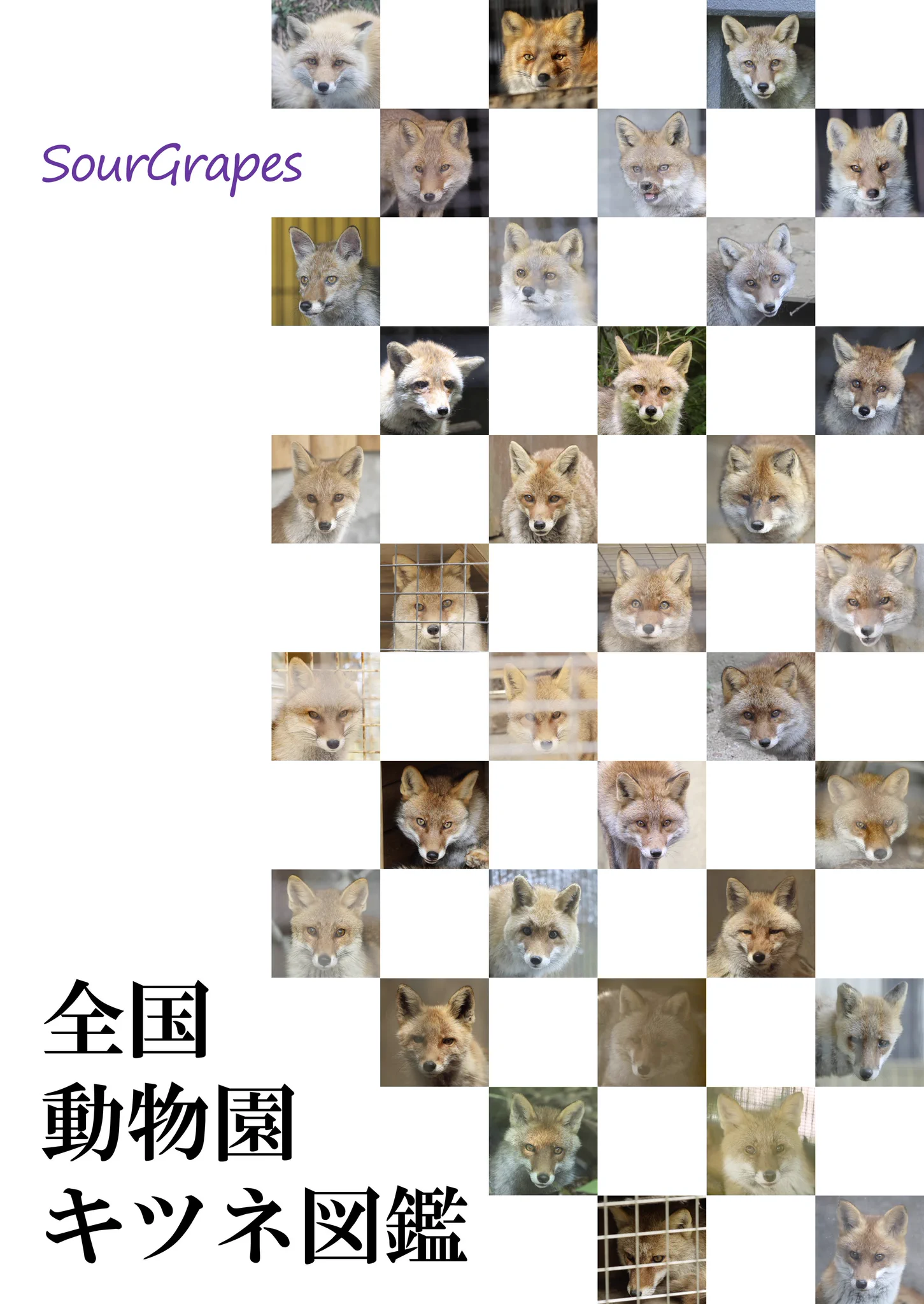 Cheng-Ren🦊🐺11/8狐オンリー青01 on X: 